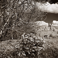 Buy canvas prints of Corfe Castle View                       by Darren Galpin