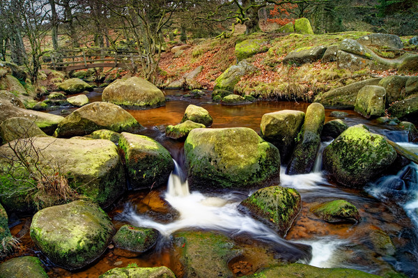 Burbage Brook at Padley Gorge                      Picture Board by Darren Galpin