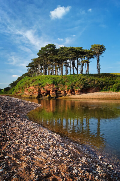 River Otter reflections at Budleigh Salterton  Picture Board by Darren Galpin