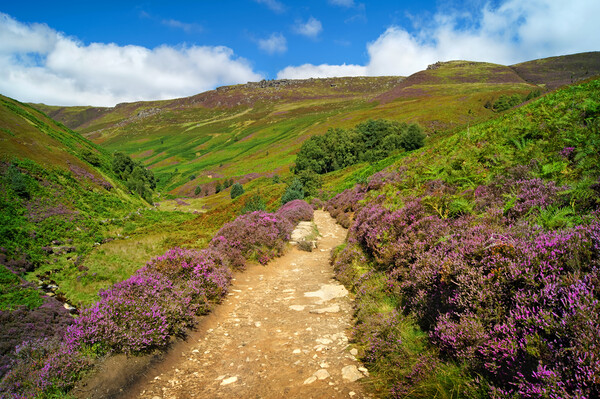 Path To Kinder Scout via Grindsbrook Picture Board by Darren Galpin
