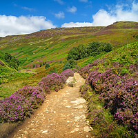 Buy canvas prints of Path To Kinder Scout via Grindsbrook by Darren Galpin
