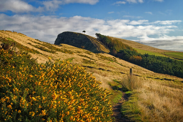 Footpath to Back Tor Picture Board by Darren Galpin