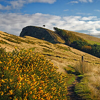 Buy canvas prints of Footpath to Back Tor by Darren Galpin