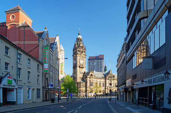 Sheffield Town Hall from Leopold Street Picture Board by Darren Galpin