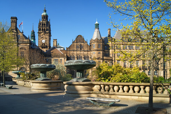 Sheffield Town Hall & Entrance to Peace Gardens Picture Board by Darren Galpin