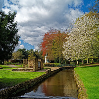 Buy canvas prints of Porter Brook at Endcliffe Park,Sheffield   by Darren Galpin