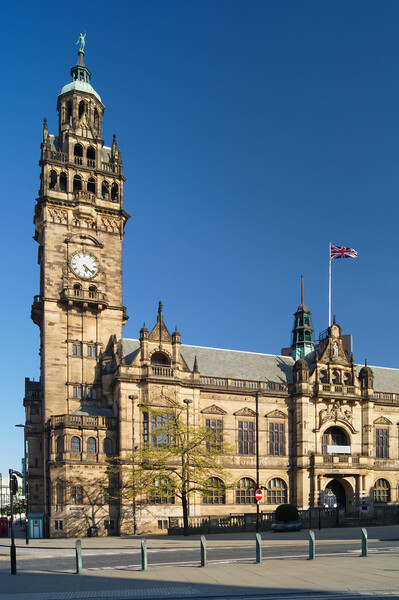 Sheffield Town Hall Picture Board by Darren Galpin