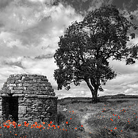 Buy canvas prints of Stone Hut & Tree, Baslow, Derbyshire  by Darren Galpin
