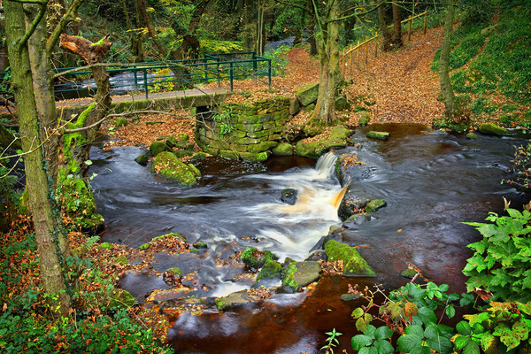 Hind Wheel Waterfalls and Footbridge  Picture Board by Darren Galpin