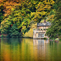 Buy canvas prints of Newmillerdam Boathouse in Autumn  by Darren Galpin