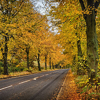 Buy canvas prints of Rivelin Valley Road by Darren Galpin