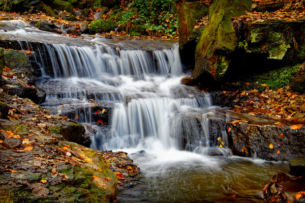 Lumsdale Falls  Picture Board by Darren Galpin