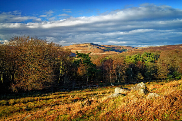 Burbage Valley view Picture Board by Darren Galpin
