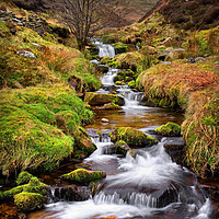 Buy canvas prints of Looking up Blackden Clough  by Darren Galpin