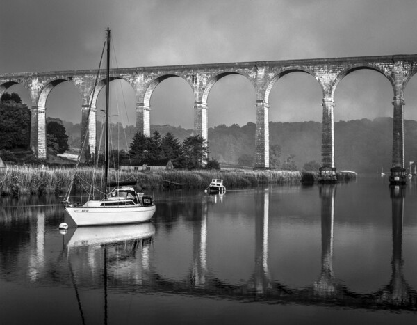 Calstock Viaduct & River Tamar Picture Board by Darren Galpin