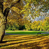 Buy canvas prints of Locke Park in Autumn by Darren Galpin