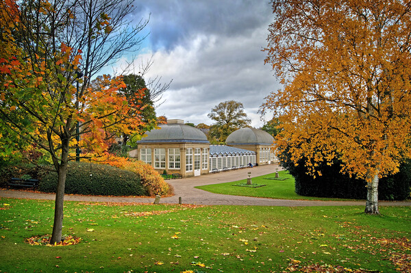 Sheffield Botanical Gardens in Autumn              Picture Board by Darren Galpin