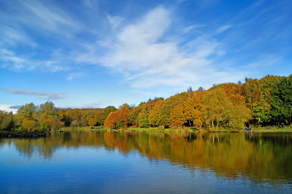 Dearne Valley Country Park in Autumn Picture Board by Darren Galpin