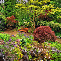 Buy canvas prints of Whinfell Quarry Garden by Darren Galpin