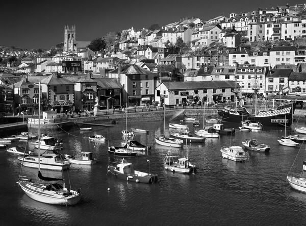 Brixham Harbour Picture Board by Darren Galpin