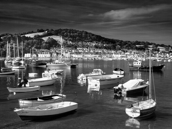 River Teign and Shaldon  Picture Board by Darren Galpin