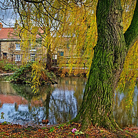 Buy canvas prints of Clayton Village Pond by Darren Galpin