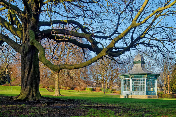 Weston Park Bandstand  Picture Board by Darren Galpin