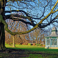 Buy canvas prints of Weston Park Bandstand  by Darren Galpin