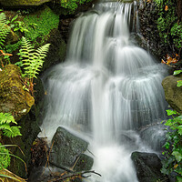 Buy canvas prints of Endcliffe Park Waterfall                       by Darren Galpin