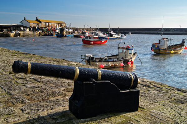 Lyme Regis Harbour from North Wall Picture Board by Darren Galpin