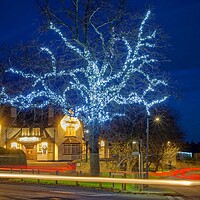 Buy canvas prints of Jubilee Tree, Barnburgh  by Darren Galpin