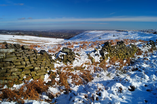 View to Wimble Holme Hill Picture Board by Darren Galpin