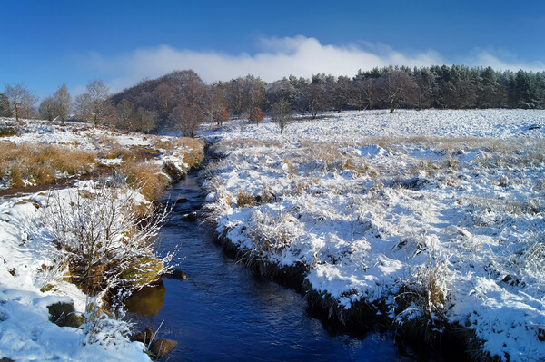 Burbage Brook in Winter Picture Board by Darren Galpin