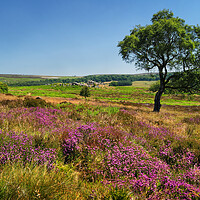 Buy canvas prints of Lawrence Field in Summer by Darren Galpin