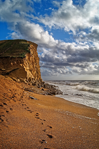 East Cliff at West Bay Picture Board by Darren Galpin