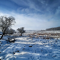 Buy canvas prints of Lawrence Field in Winter by Darren Galpin