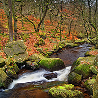 Buy canvas prints of Padley Gorge by Darren Galpin