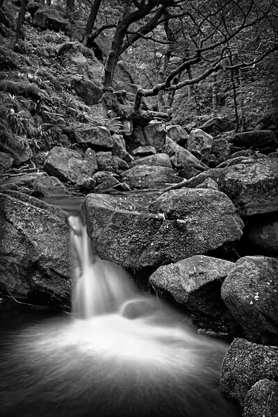 Ballerina Falls at Padley Gorge  Picture Board by Darren Galpin