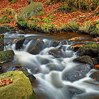 Buy canvas prints of Padley Gorge Waterfalls by Darren Galpin