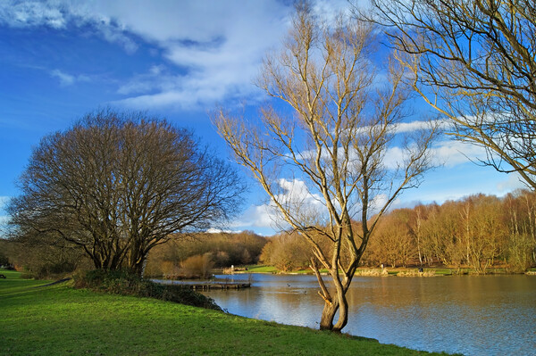 Dearne Valley Country Park Picture Board by Darren Galpin