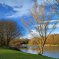Buy canvas prints of Dearne Valley Country Park by Darren Galpin