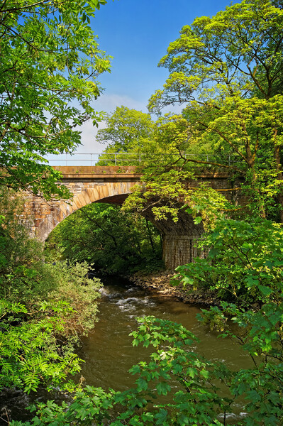 Bridge over The River Derwent Picture Board by Darren Galpin