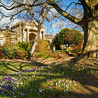 Buy canvas prints of Sheffield Botanical Gardens in Spring by Darren Galpin