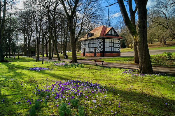 Spring in Thornes Park Picture Board by Darren Galpin