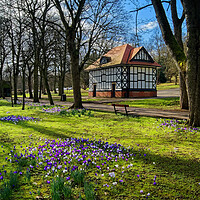 Buy canvas prints of Spring in Thornes Park by Darren Galpin