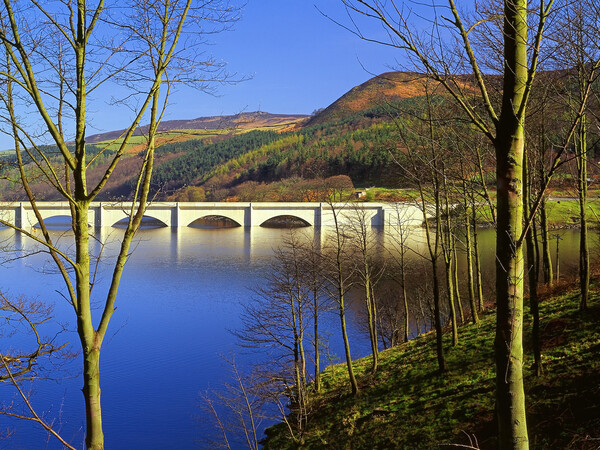 Ladybower and Ashopton Viaduct Picture Board by Darren Galpin
