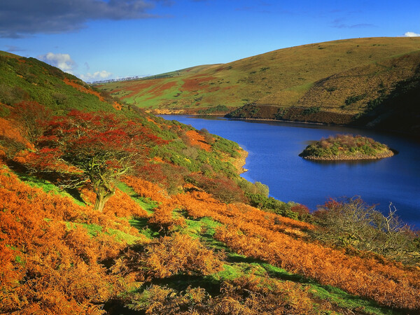 Meldon Reservoir on Dartmoor Picture Board by Darren Galpin