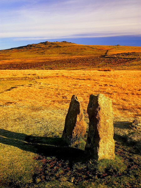 Merrivale Stone Rows and Great Staple Tor Picture Board by Darren Galpin