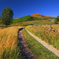 Buy canvas prints of Footpath to Callow Bank  by Darren Galpin