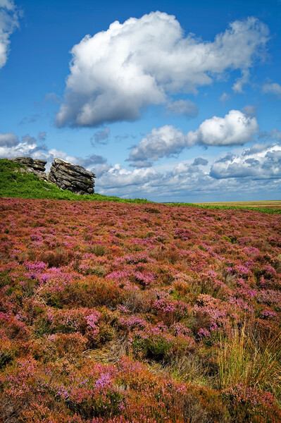 Cowper Stone Picture Board by Darren Galpin